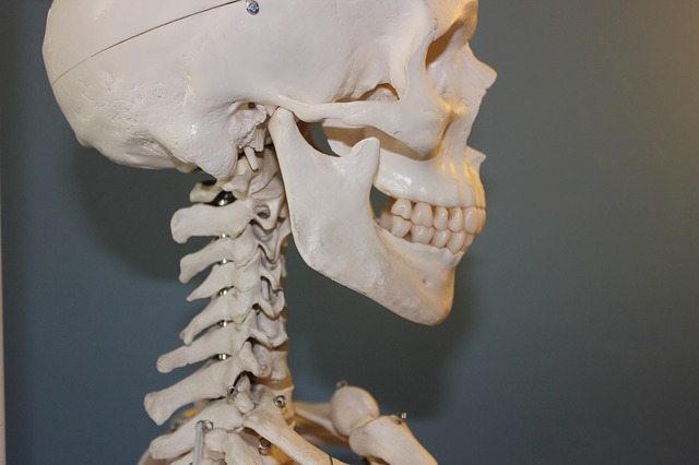 Medical Doctors Recommend Chiropractic